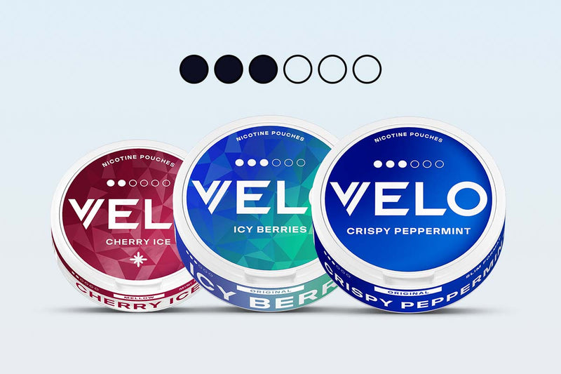 Explore snus and nicotine pouches: compare nicotine strengths