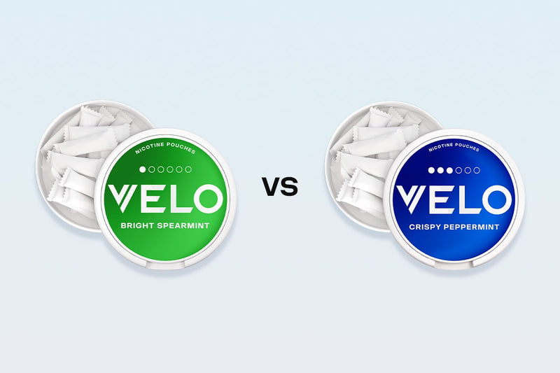 Nicotine Pouch Flavour Pairing Guide: How to Combine Flavours