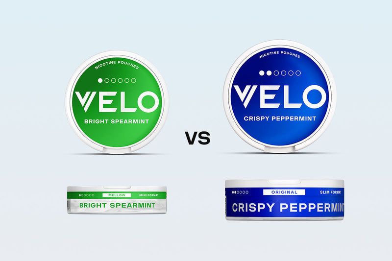 VELO Mini vs Slim: Which Format is Right for You?