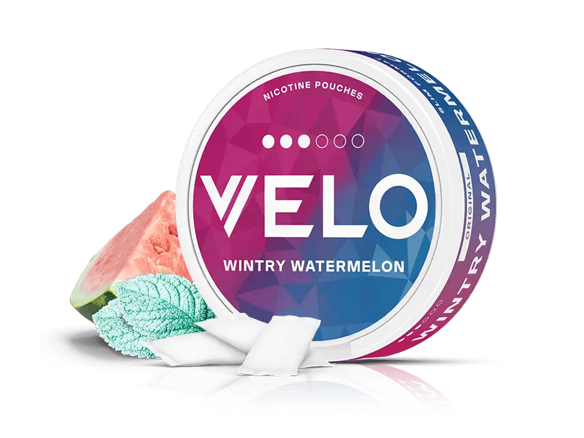 Velo Nicotine Pouches |  A round container of VELO Wintry Watermelon nicotine pouches sits on a white background, accompanied by a slice of watermelon, fresh mint leaves, and three white pouches in front—perfectly capturing the refreshing blend of peppermint and juicy watermelon flavors.