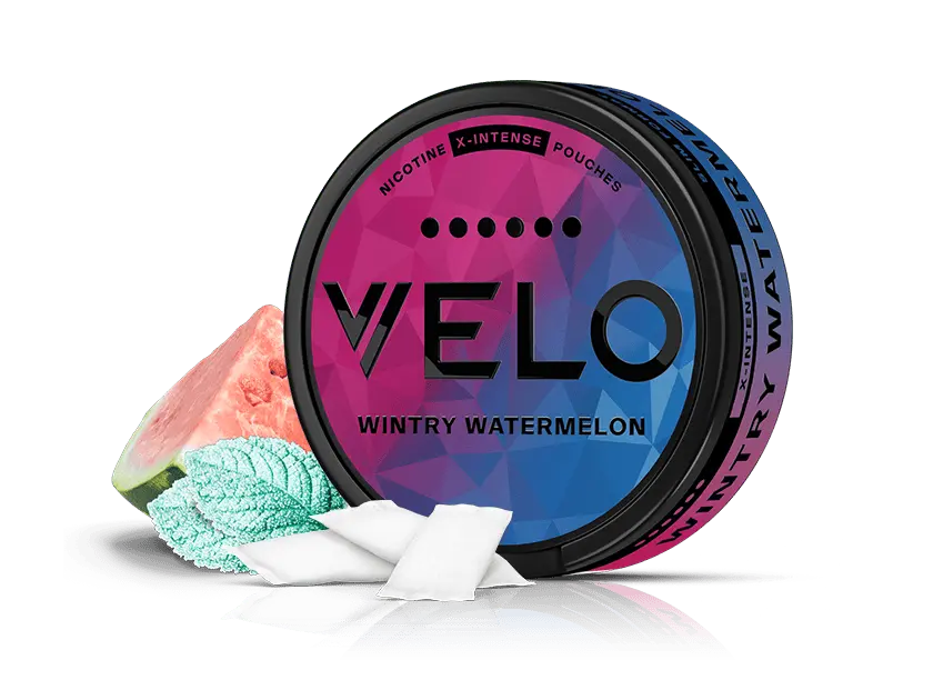 Velo Nicotine Pouches |  A round tin of VELO Wintry Watermelon is displayed alongside two white nicotine pouches, a watermelon slice, and cool peppermint leaves. The tin features pink and blue colors with bold lettering.