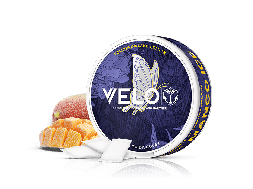 VELO Tomorrowland 2026 Limited Edition | Mango Ice Nicotine