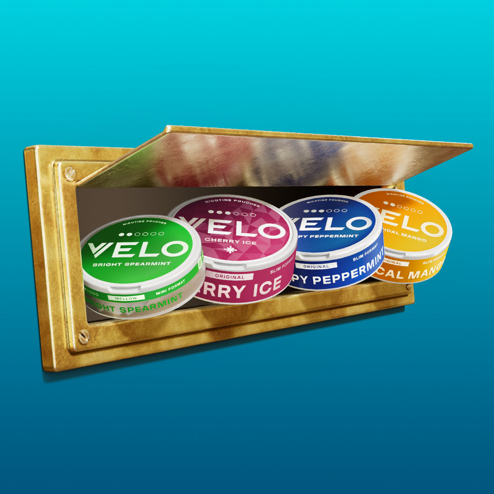 Velo Nicotine Pouches |  Four colorful VELO nicotine pouches—green, red, blue, and orange—are arranged in a golden, wall-mounted display box with an open lid against a blue background. These sleek Velo pouches add a vibrant touch to the elegant showcase.