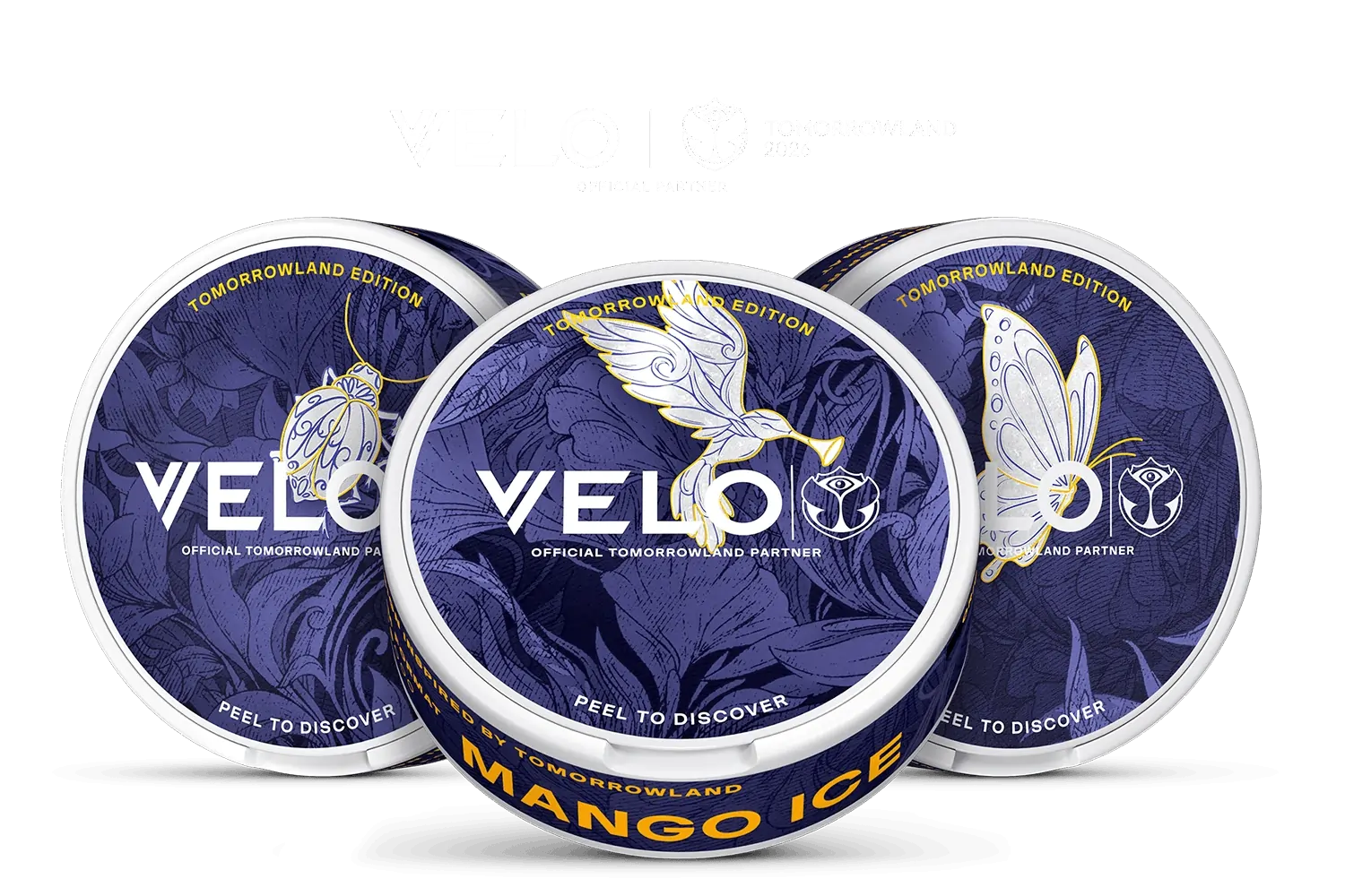 Velo Nicotine Pouches |  Three round VELO Mango Ice nicotine pouches tins with a blue, gold, and white butterfly design and “Tomorrowland Edition” text, arranged with one tin in front and two slightly behind on a white background.