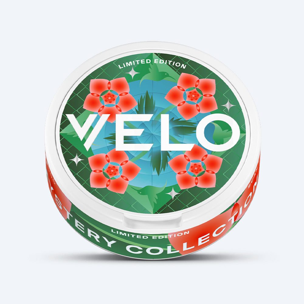 Velo Nicotine Pouches |  Round container of VELO Mystery Collection 2 nicotine pouches with a green label featuring floral patterns, hummingbirds, and the text Limited Edition.