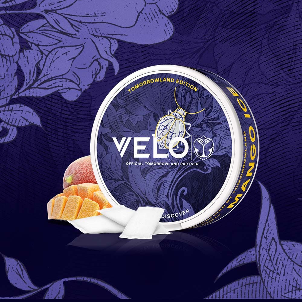 VELO Tomorrowland 2026 Limited Edition | Mango Ice Nicotine