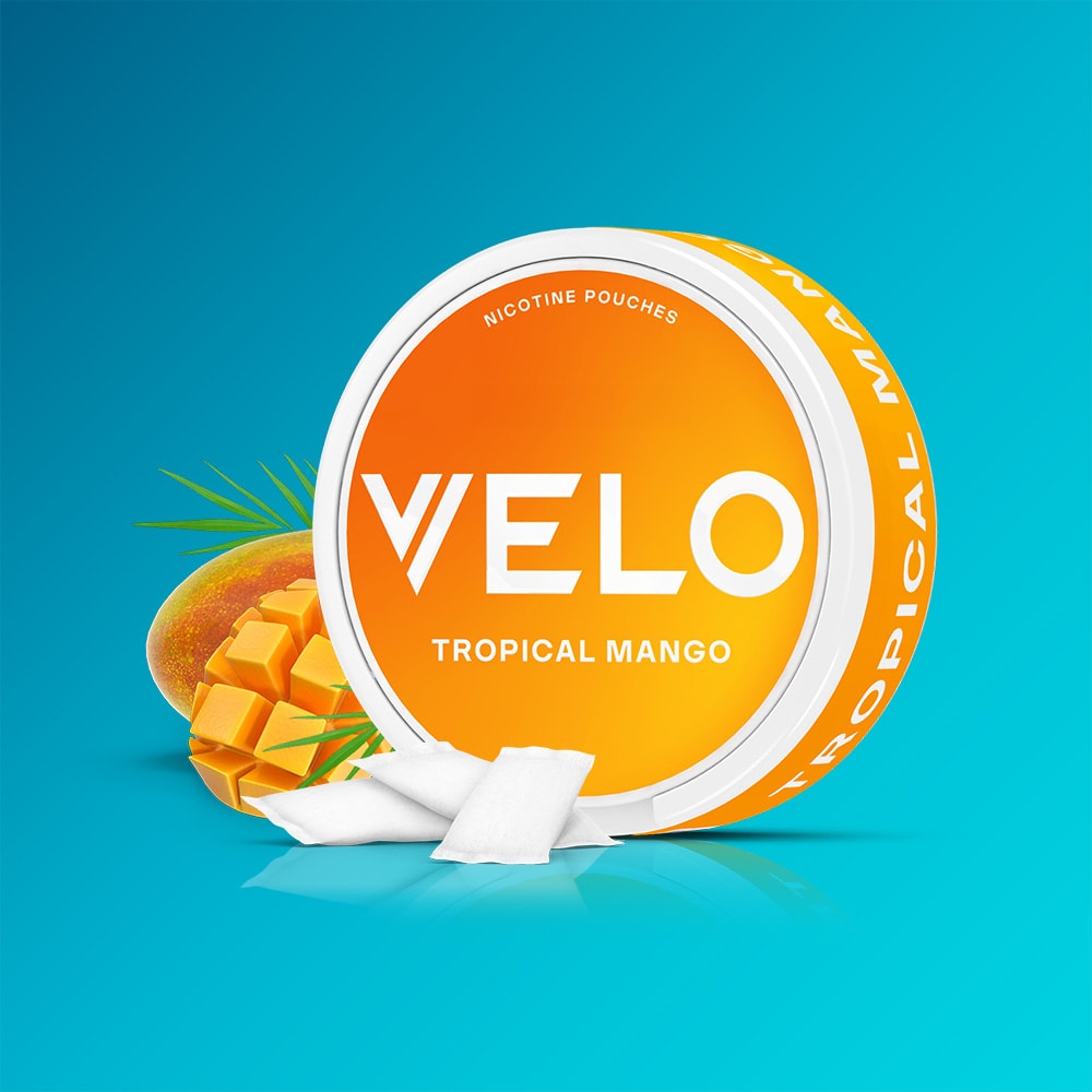 Velo Nicotine Pouches |  A round VELO Tropical Mango container sits on a blue background, adorned with a sliced mango and green leaves. In front, three white nicotine pouches showcase the product’s exotic fruit flavours—highlighting vibrant notes of tropical mango with subtle hints of passionfruit.