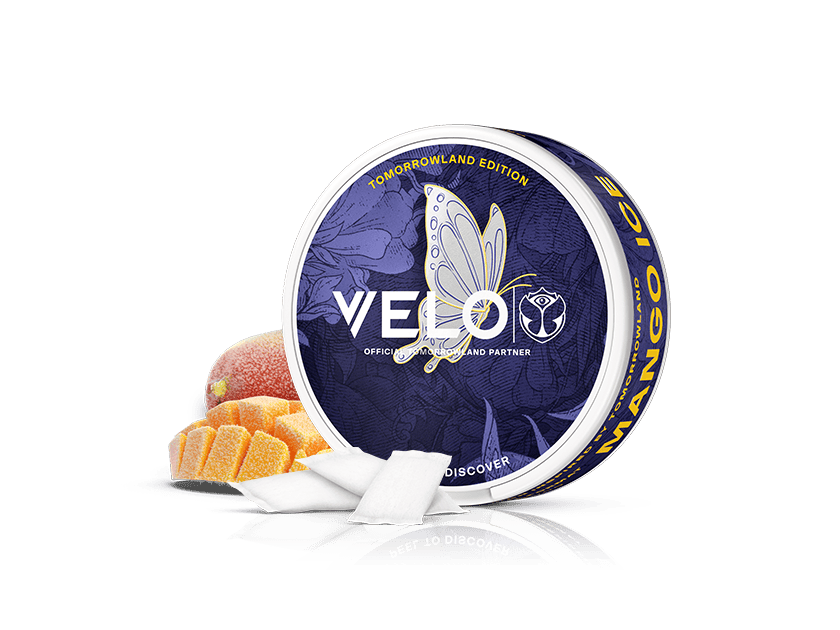 Velo Nicotine Pouches |  A round tin labeled “VELO Mango Ice” with a butterfly design is shown. Next to it are mango slices and white chewing gum pieces on a white background, highlighting the refreshing appeal of VELO nicotine pouches.