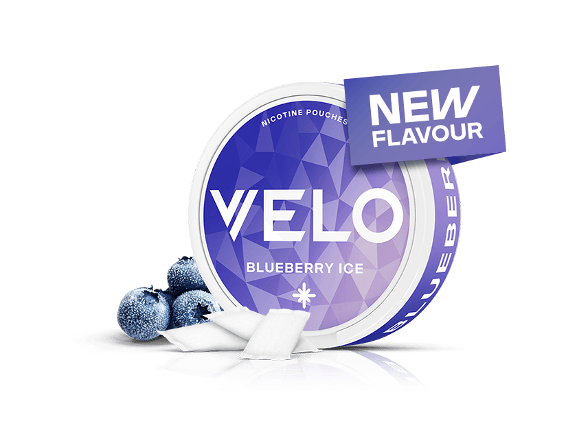 Velo Nicotine Pouches |  A round VELO Blueberry Ice nicotine pouch container with a NEW FLAVOUR sign. Three blueberries and two white pouches are placed beside the container on a white background, highlighting Velo’s refreshing approach to nicotine pouches.
