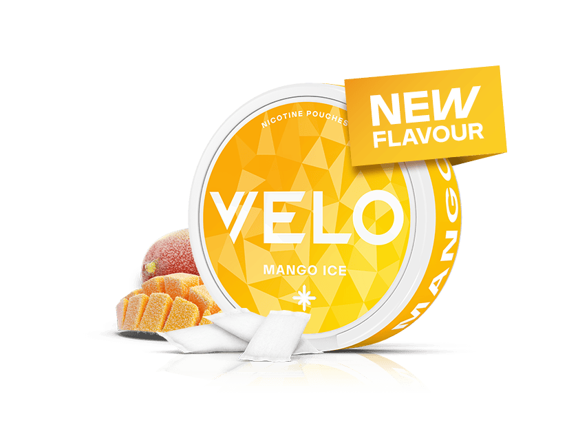 Velo Nicotine Pouches |  A round container of VELO Mango Ice nicotine pouches sits beside mango slices and gummies. A yellow sign reads NEW FLAVOUR. The package features a yellow geometric design with white text, highlighting the refreshing nicotine experience from Velo pouches.
